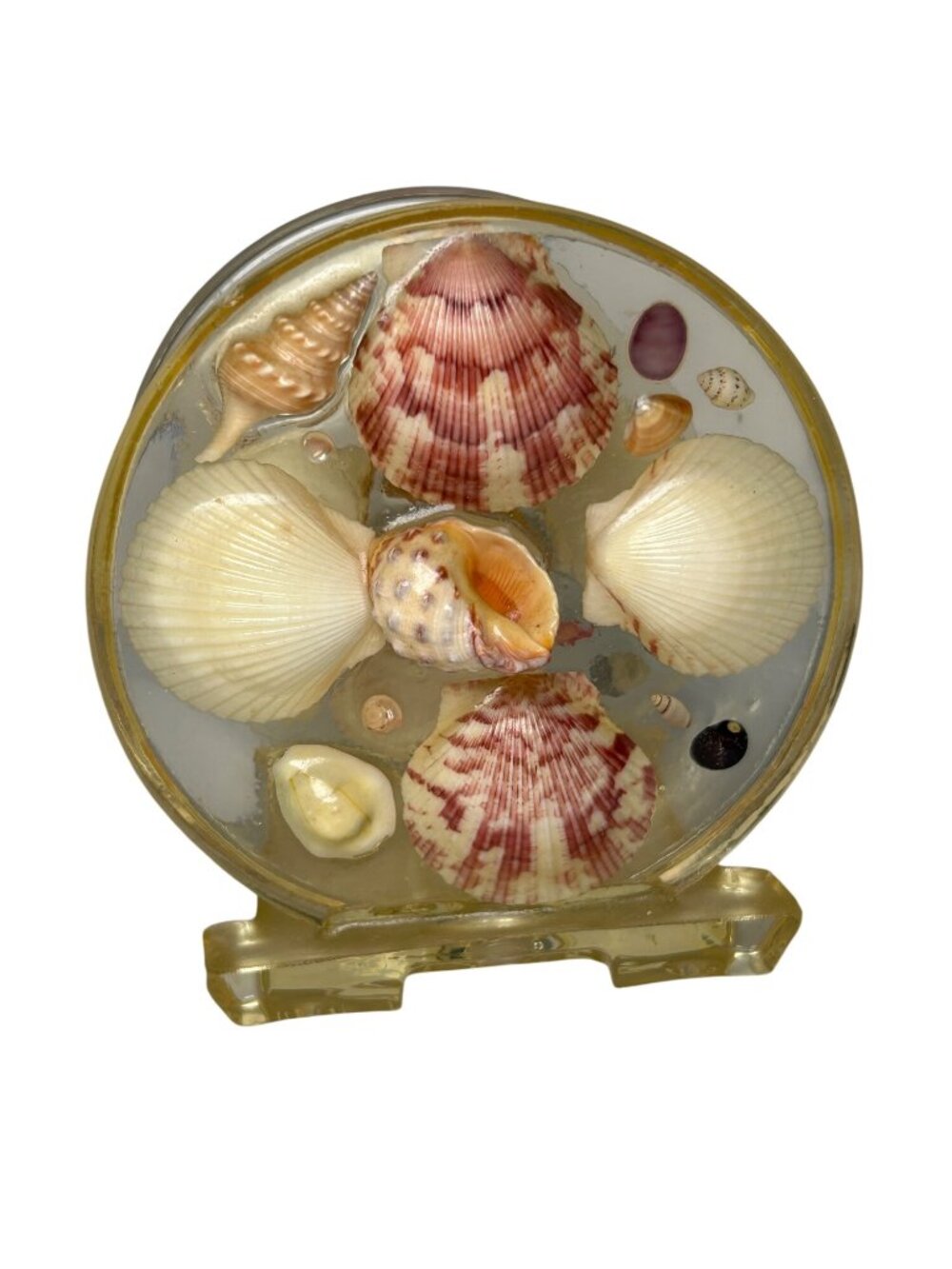 VTG Seashell Napkin Holder Lucite Acrylic w/ Real Shells Coastal Beach Nautical